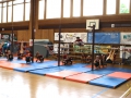 Jugendturnfest Kirchberg 2016 34 (1)