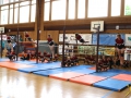 Jugendturnfest Kirchberg 2016 54 (1)