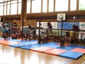 Jugendturnfest Kirchberg 2016 57 (1)