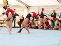 Jugendturnfest 2017 29