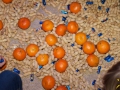 turnverein-jugend-chlausdisco-2012-44.jpg