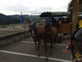 Turnfahrt 2015 40